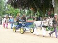 rodho 2013 (64).jpg